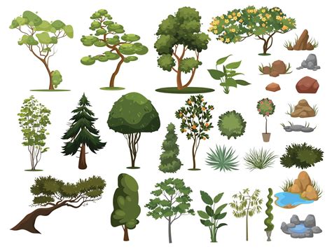 set tree shrubs collection landscape design element illustrator