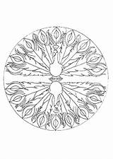 Paon Mandalas Hugolescargot Colorier Haiwan Facile Hugo Magique Roue Kertas Mewarna Miroir Ccm2 Pfau Disegnidacolorare Verzeichnis sketch template