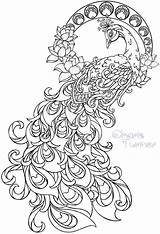 Peacock Tattoo Nouveau Coloring Pages Drawing Metacharis Deviantart sketch template
