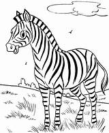 Zebra Coloring Pages Kids Printable Cute sketch template