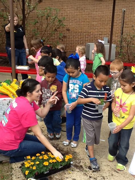 lees kindergarten farm centers  activities