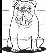 Bulldogs Desenhar Makkelijk Getdrawings Hond Bulldogge Hund Anglais sketch template
