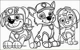 Coloring Paw Patrol Pages Printable Kids Easter Party Print Zuma Zumba Plaid Color Getcolorings Pool Getdrawings Colorings Tag Book sketch template