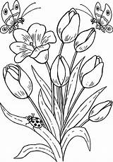 Coloring Pages Butterfly Flowers Embroidery Flower Tulips Drawing Cool Wecoloringpage sketch template