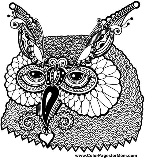 pin  owls