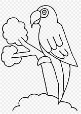 Loro Papagaio Loros Pintar Parrot Burung Druku Mewarnai Papuga Papegaai Kolorowanka Kura Beo Kolorowanki Myna Hummingbird Eenvoudige Papegaaien Ptaki Hewan sketch template