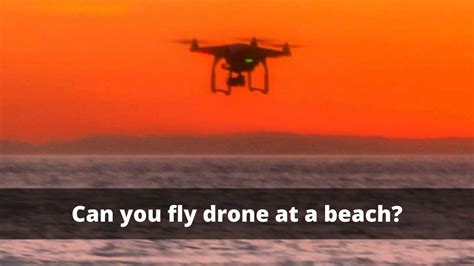 fly drone   beach  drones pro