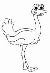 Ostrich Cartoon Coloring Drawing Pages Colorluna Color Luna Getdrawings Designlooter Getcolorings sketch template