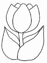 Tulip Outline Clipart Cliparts Pages Library Colouring sketch template