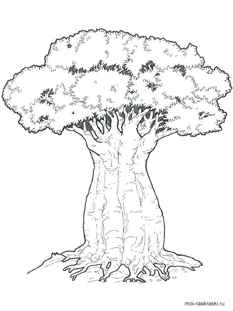 coloring page oak tree  coloring books pages