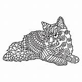 Pages Coloring Zentangle Cat Cats Color Getcolorings Getdrawings sketch template