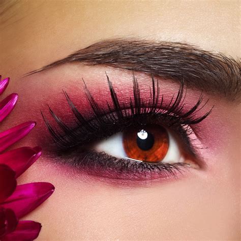 day eyebrow tinting training  london nationwide