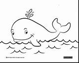 Whale Coloring Beluga Pages Getcolorings Beaut Getdrawings sketch template