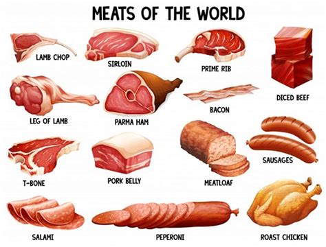 meat poultry  seafood vocabulary eslbuzz
