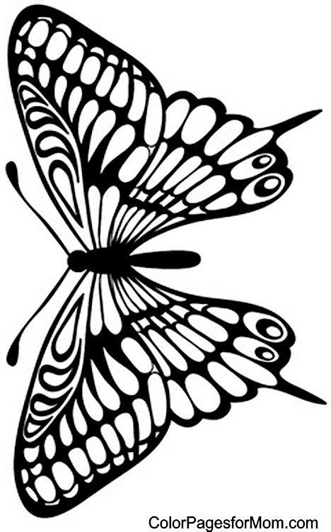 butterfly coloring page  butterfly coloring page coloring pages