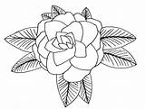 Camellia Coloring Designlooter Printables Draw Pages sketch template