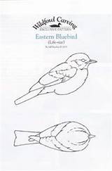Bluebird Carving Patterns Eastern Wood Bird Birds Wildfowl Pattern Part Whittling Drawing Small Plans Template Wooden Will Designs Getdrawings Read sketch template