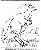 Kangaroo Coloring Pages Drawings Animals Animal Drawing Printable Kids sketch template