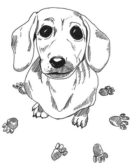 realistic printable dog pictures  sweet set includes