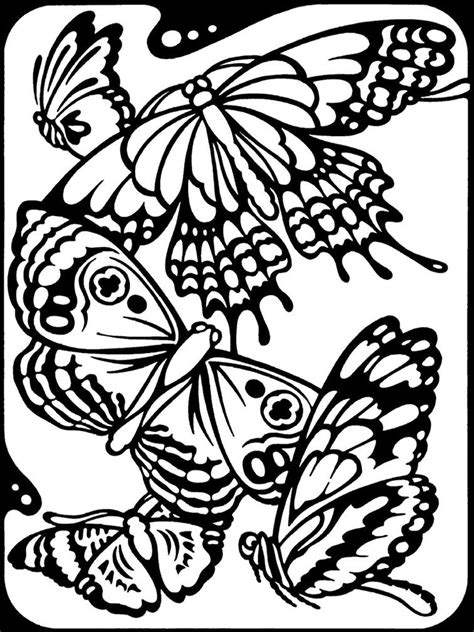 butterfly coloring page kids coloring book pinterest butterfly