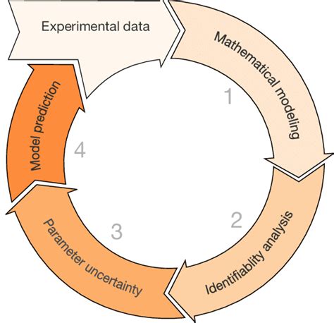 mathematical modeling approach   experimental data set