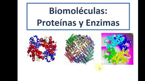 Modulo 3 Biomoleculas Proteinas Enzimas Y Acidos – Otosection