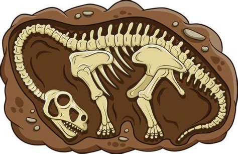 dinosaur fossil vector art icons  graphics