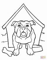 Bulldog Coloring Pages Kennel English Printable Drawing French Face Clipart American Puppy Drawings Print Draw Line Getdrawings Dog Bulldogs Bull sketch template