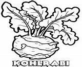 Coloring Pages Vegetable Kohlrabi sketch template