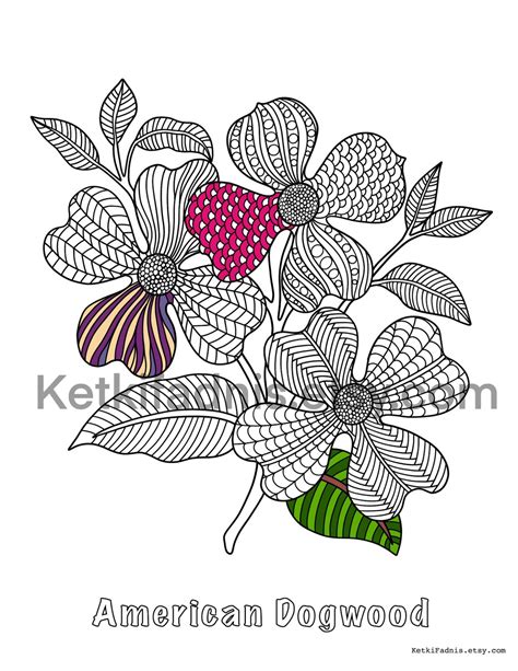 american dogwood flower coloring page flower coloring page etsy