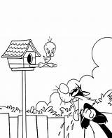 Tweety Coloring Sylvester Print Pages Cartoon Topcoloringpages Books Color Colouring sketch template