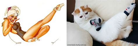 cats that pose like pin up girls from the 1940s and 1950s