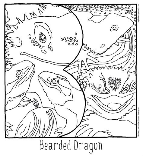bearded dragon coloring pages sketch coloring page