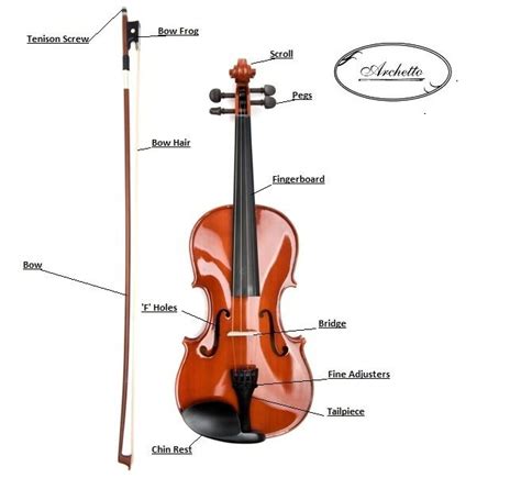 basic parts   violin  bow chart violin violin parts  instruments