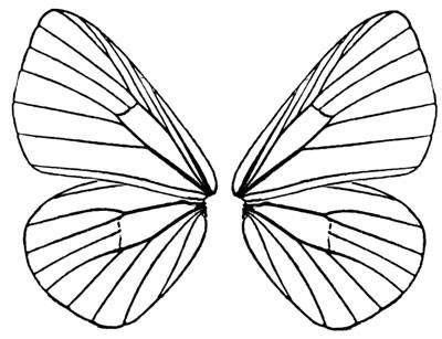 printable butterfly wings template butterfly printable fairy