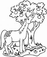 Horse Coloring Pages Eating Apple Color Horses Kids Projects Apples sketch template