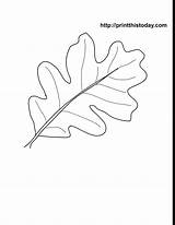 Patterns Automne Acorn Coloriages Dessin Psstech Kaza Coloriage sketch template