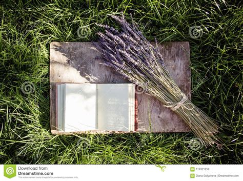 book  clean pages  lavender  background  green grass stock