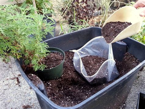 gallon premium succulent soil potting mix grow transplant indoor house plants outdoor plants
