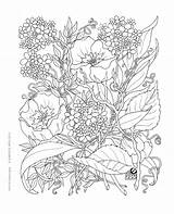 Garden Coloring Secret Pages Enchanted Forest 塗り絵 Book Printable Adult Color 大人 細かい Getcolorings いっぱい ぬりえ  Books 保存 Nl sketch template