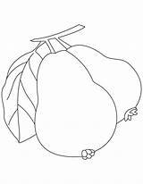 Guava Coloring Pages Drawing Sketch Kids Juice Fruit Color Two Colouring Print Sheets Vector Guavas Printable Fruits Bestcoloringpages Sketches Paintingvalley sketch template
