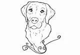 Lab Labrador Coloring Retriever Pages Dog Yellow Drawing Puppy Chocolate Puppies Line Golden Printable Colouring Drawings Sketch Color Getdrawings Print sketch template