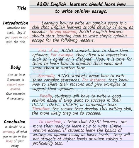 easy steps   write  opinion paper