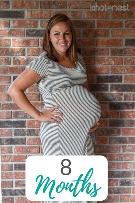 8 months pregnant bumpdate the well planned mama
