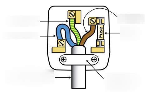 wiring  plug diagram quizlet