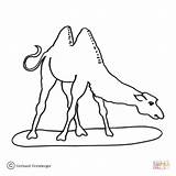 Camel Coloring Hump Two Camels Pages Egyptian Kamel Color Printable Zum Ausmalen Drawing Supercoloring sketch template