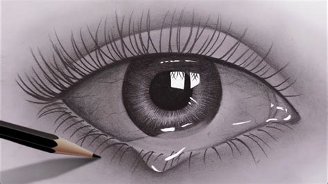 draw realistic eyes  beginners  pencil pencil sketch