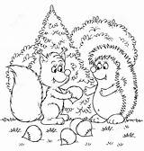 Hedgehog Colorare Disegni Squirrel Bosco Animali Disegnare Gathers Mushrooms sketch template