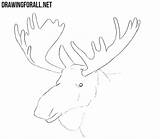 Elk Erase Unnecessary sketch template