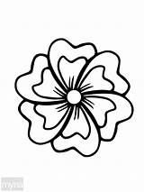 Flowers Coloring Pages Adult Flower Drawing Book Large Simple Jasmine Big Petal Line Hibiscus Drawings Print Beautiful Getdrawings Kids Make sketch template